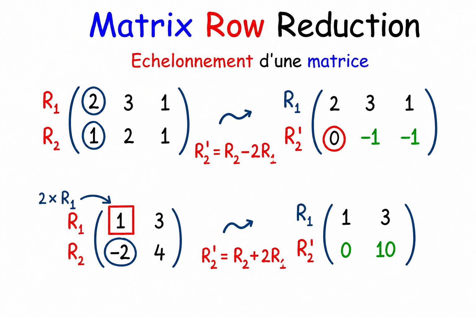 Matrices 7