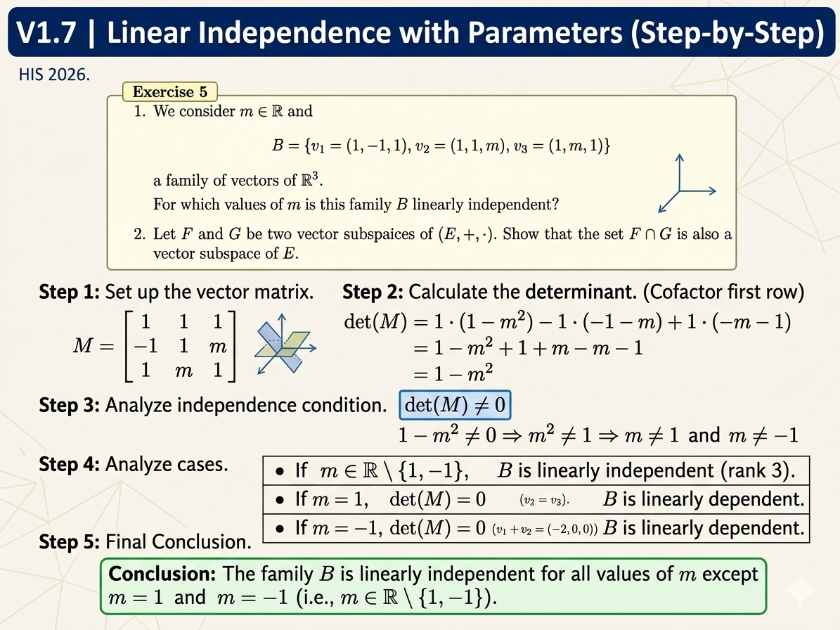 Vector Space 7